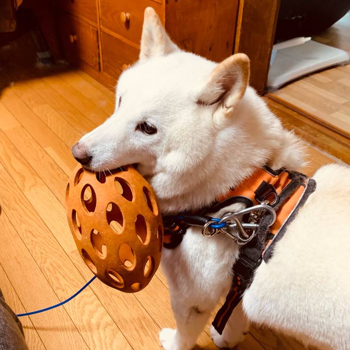 38542f2a b731 4c47 9d59 d740b1e1cf1e 1635916417722