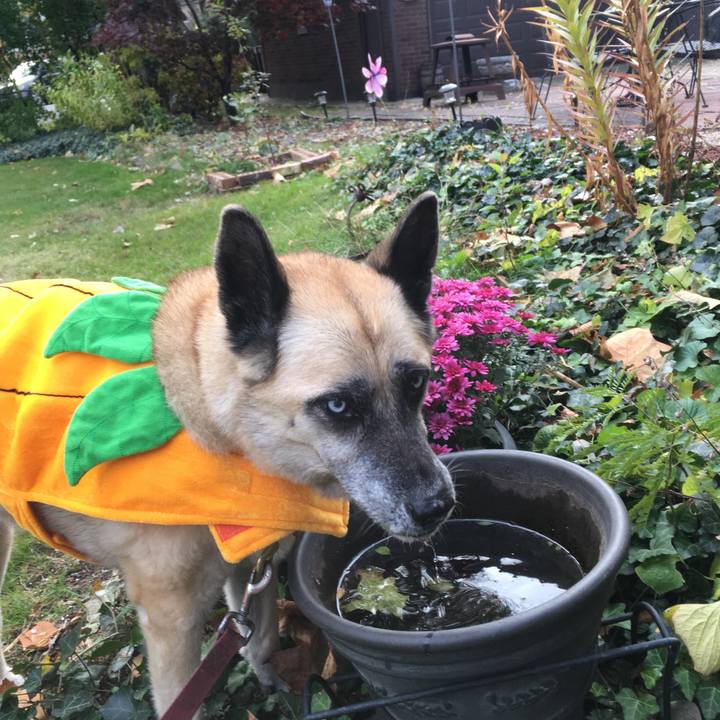 38543eeb e1dd 4916 9266 afe3e0ca7f67 1540677657736