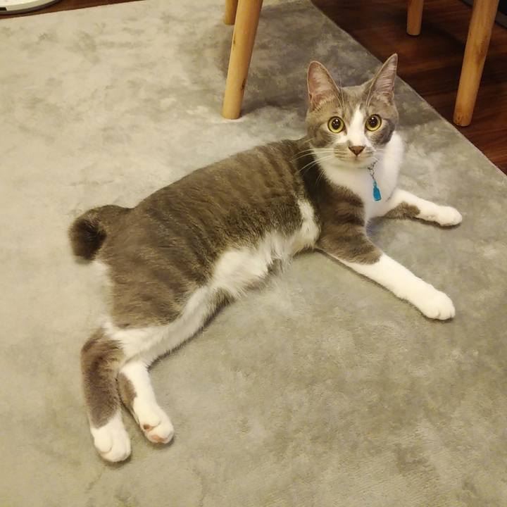 385456f4 1b1c 4921 8534 820fc1777377 1591275703021