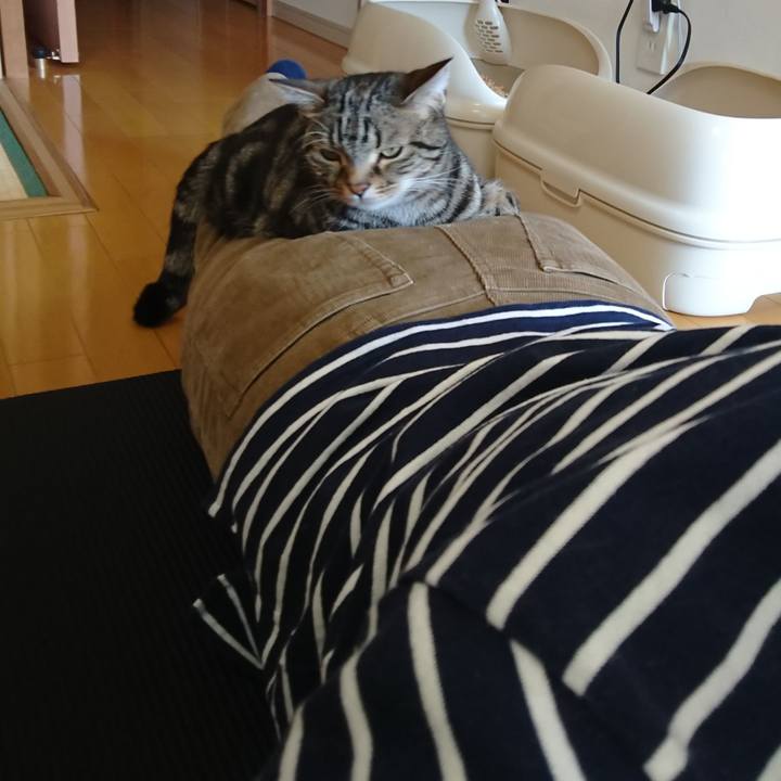 38545843 b778 48d5 8f3d d1f0af0d0ee1 1584503217244