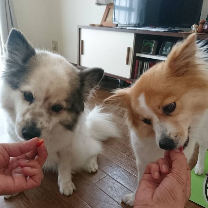 38545da7 544b 4a89 a92a 2ea3837a74a6 1679311146771