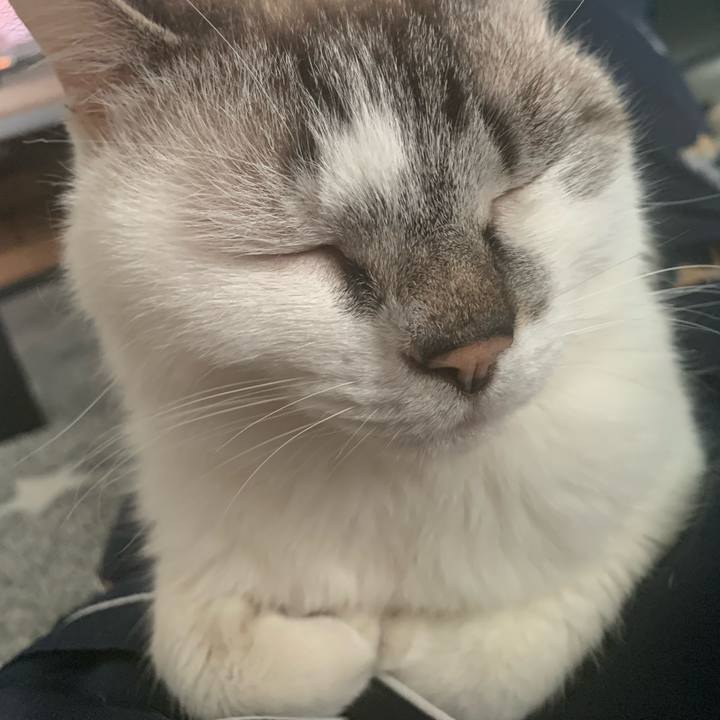 3854607f fd02 4d33 b459 dc3860d4641a 1650671784633