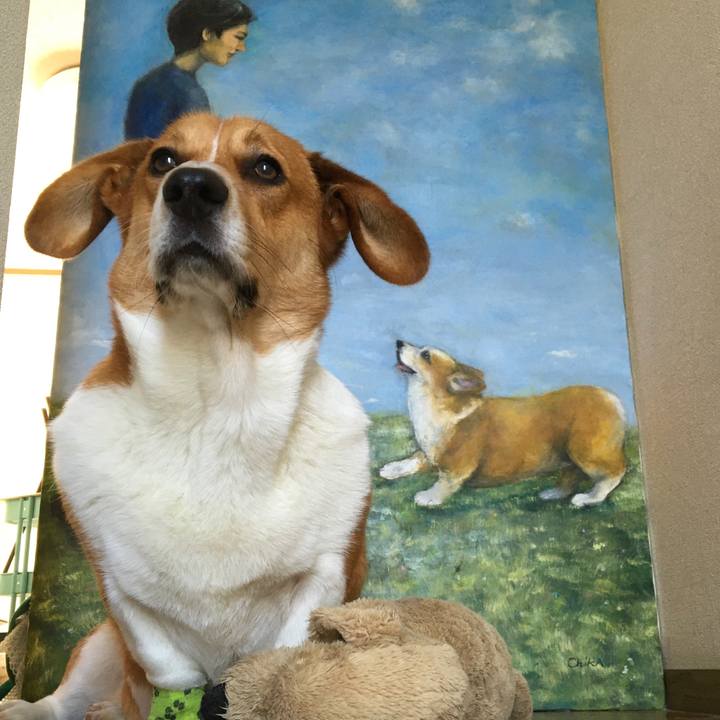 38546c7e 77a2 4b6d a0dc 88c370770c03 1634518044785