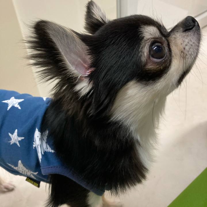 38547ed4 2fbb 4c80 b1c7 70f0c1161ae1 1619965208575