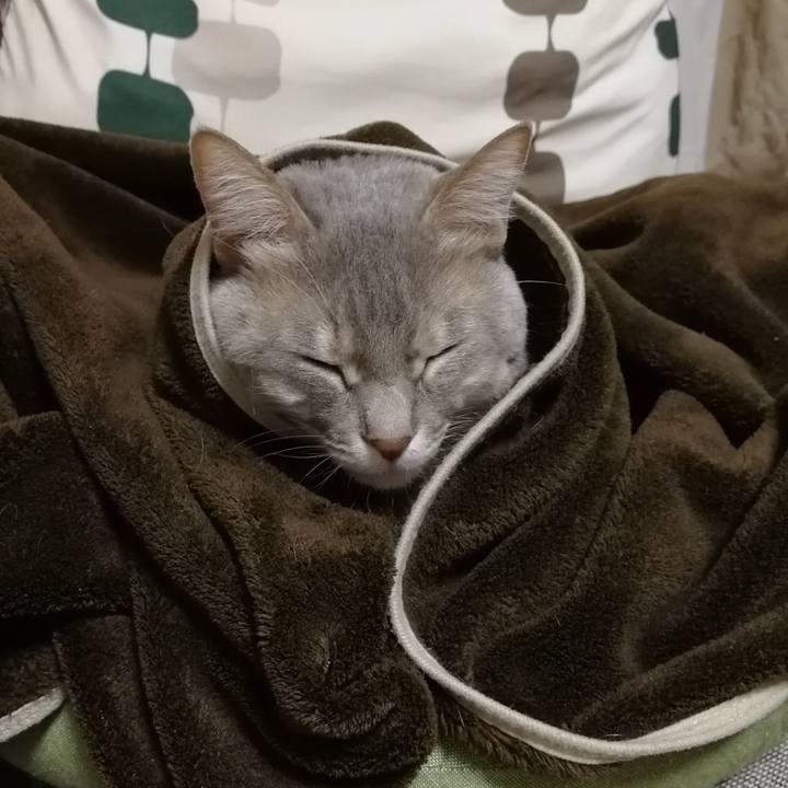 385504f3 fa07 451e 9919 cb9710659aa4 1516928816266