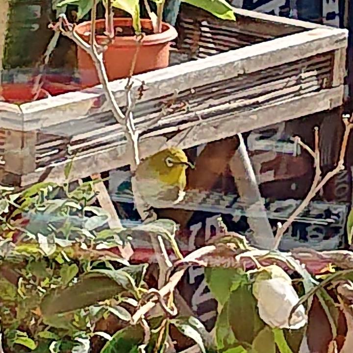 38556d46 0187 4803 a343 0a215208523f 1610078269791