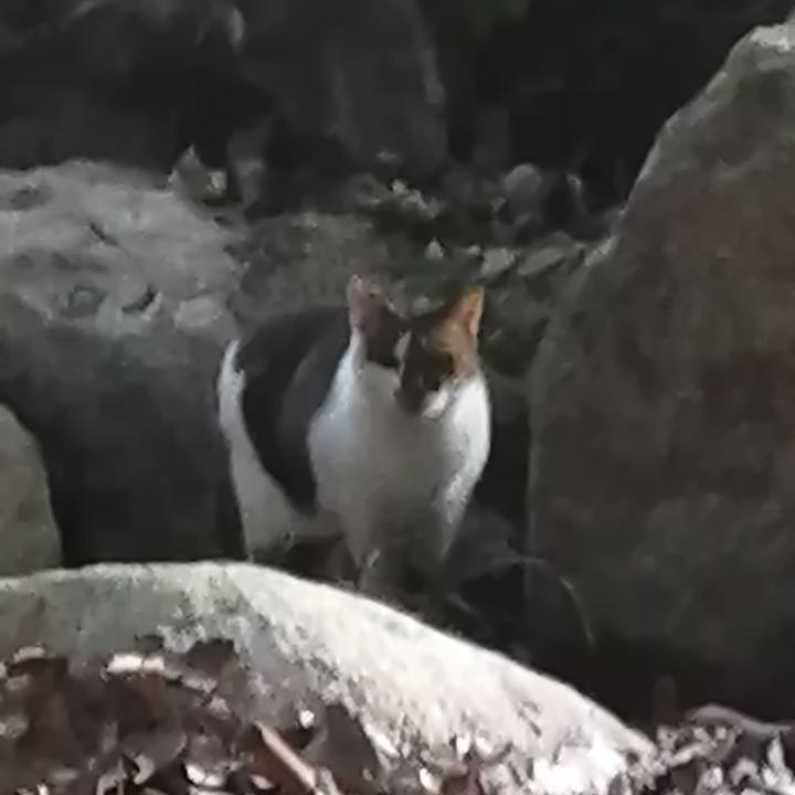 385580a5 a31f 4612 aee6 b0f57c621e65 1632430818198