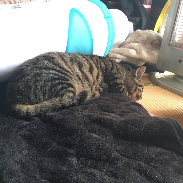 3855825c 6b1f 4267 b949 2476adc261b4 1550805373559