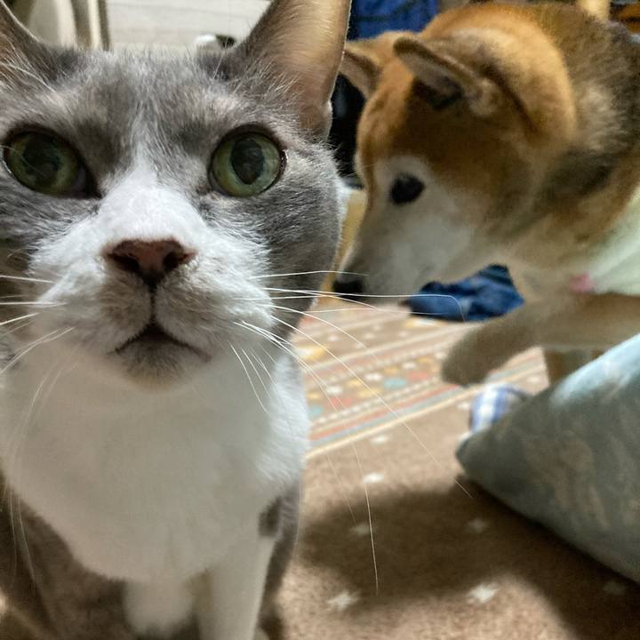 3855bc44 f01e 4449 a5e3 10fe9517b8b4 1765025111558