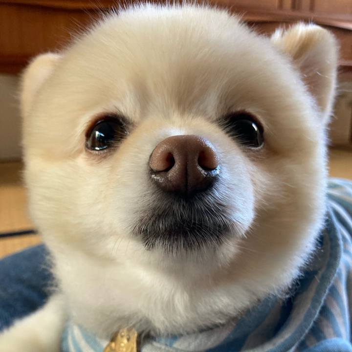 3855dbf9 de25 4438 a1f6 0aa3cb6fbf3e 1635376847039