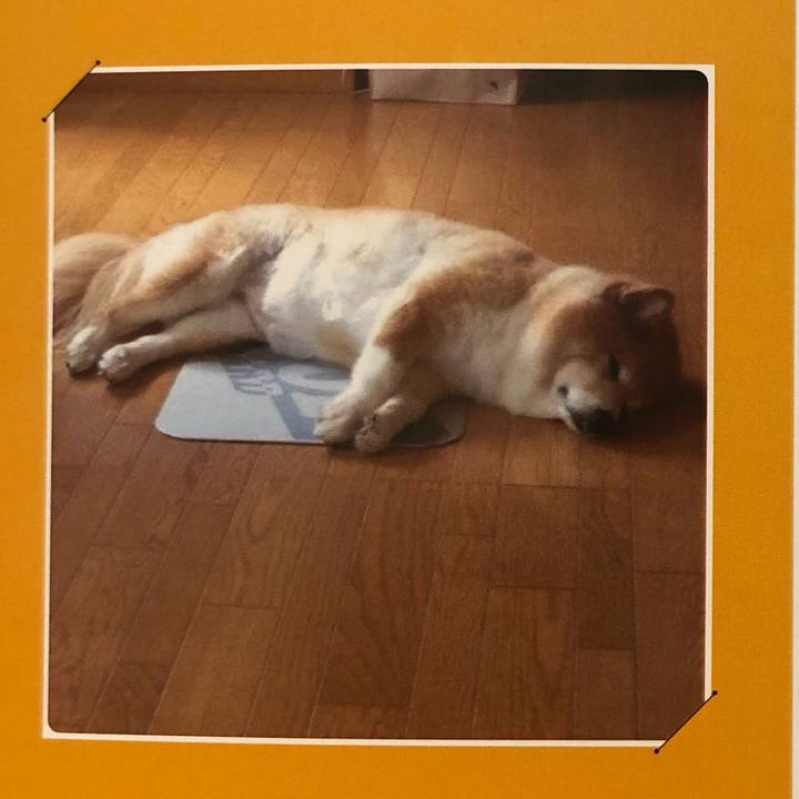 3855e583 9c48 48f3 9257 667a502c1440 1596284186435