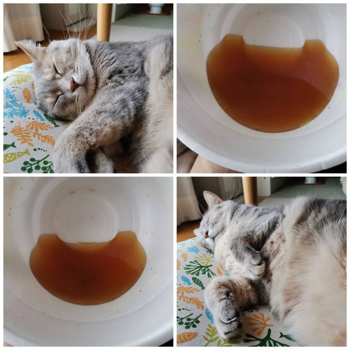 3855e5a7 2ee7 4e2e 832f 492e616a00f3 1601213492714