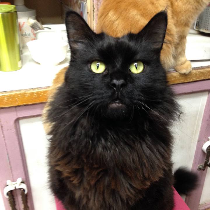 3855e66d 6429 4f3e 8bfe 79e00f1aac38 1645485744947