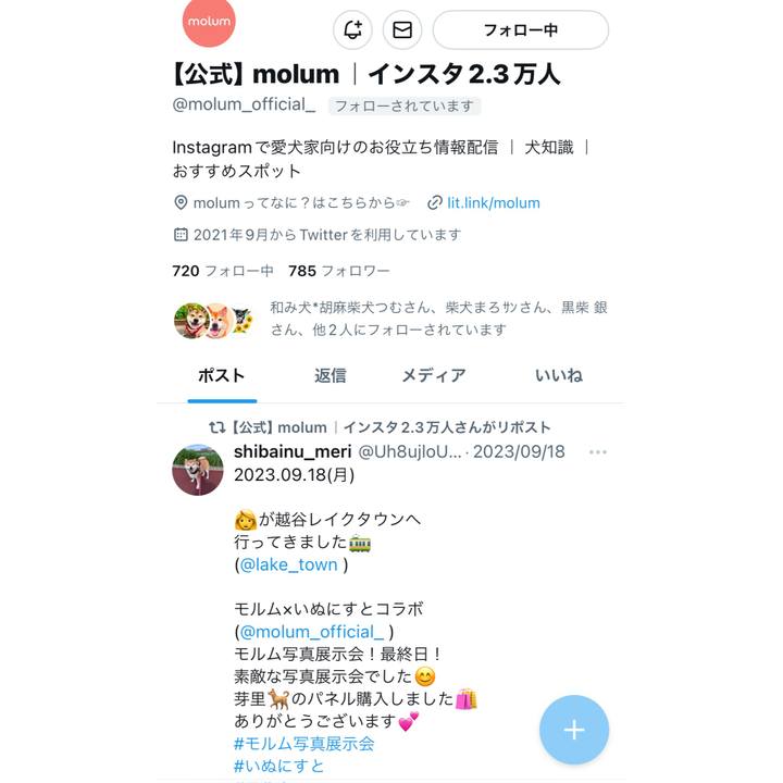 385615db 0a83 4a8c 906a 915a13647b21 1696302547108