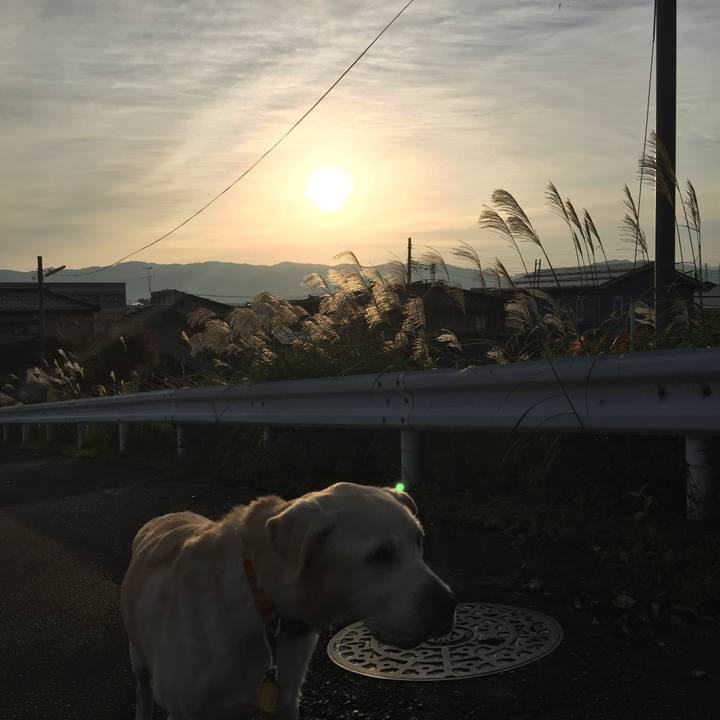 3856252b 263e 428b a880 642b7c0c5607 1542754061554