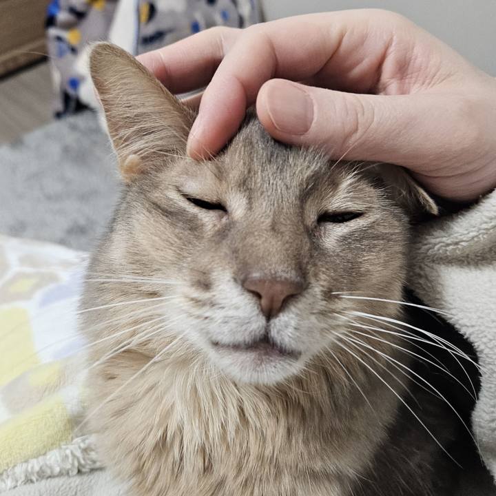 3856344b 15f7 40cd a733 fcd8932ba4a8 1769651069778