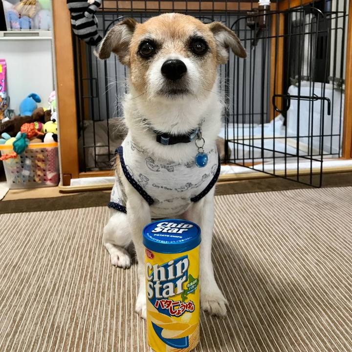 3856646f a332 47a3 91a5 2758a81cc517 1601273704597