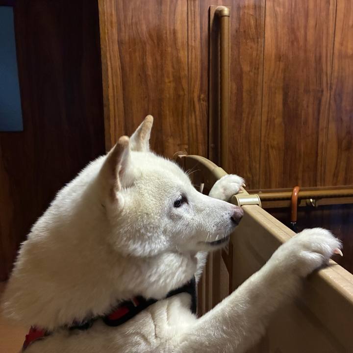 38566529 7272 4cf4 ac6f fcd111781007 1768202584111