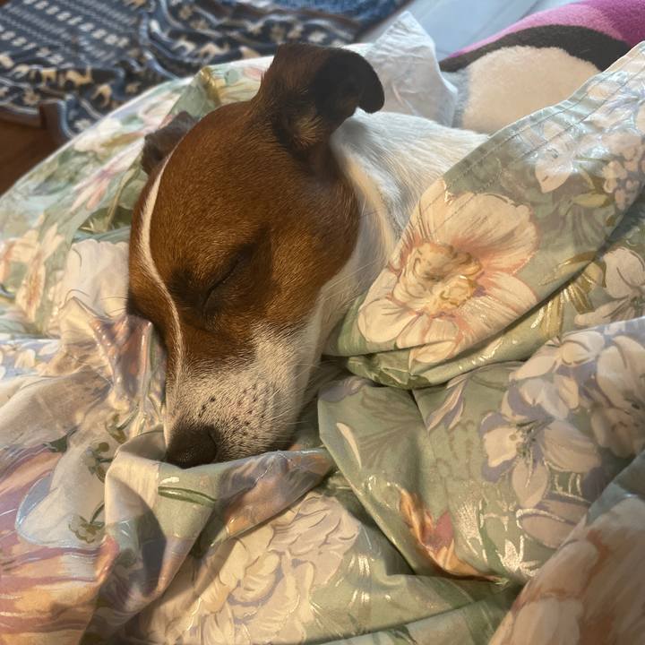 3856b910 d2d9 4ff8 bd08 f57e38eab254 1643009161127