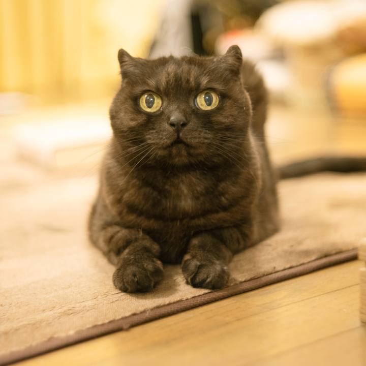 3856f4a2 acfd 4821 a285 5f0a42d8ece4 1615305972454