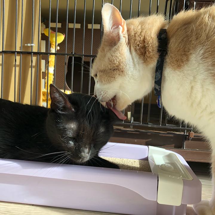 3856f645 2471 4be1 ad30 514412007836 1521845901117