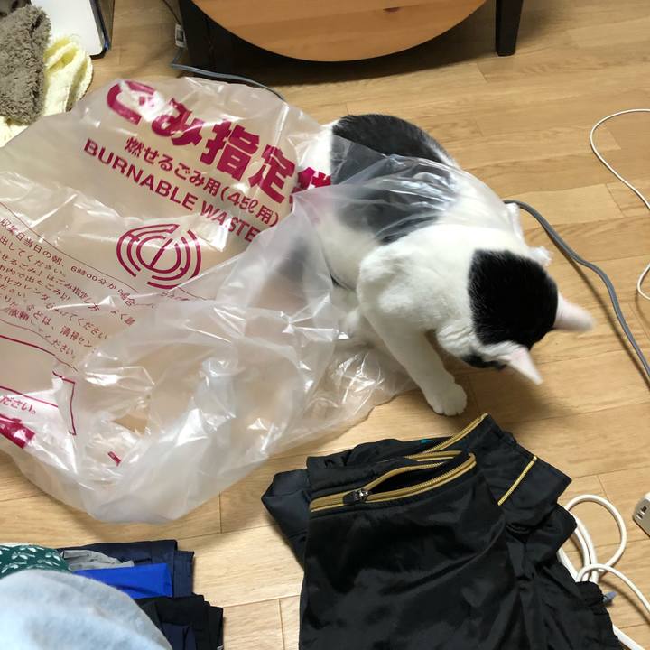 3857454e e091 4bab b376 c72fd87f725d 1578749869758