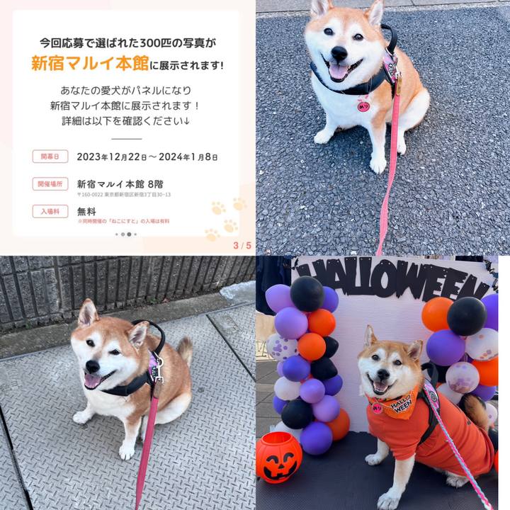 385759bf 0b4a 4d3c b564 f2bf4e1c0e6f 1703192804025