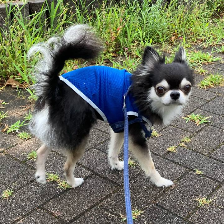 38578fd5 d308 4c7a 9609 27fb0e25dd4d 1688834920404