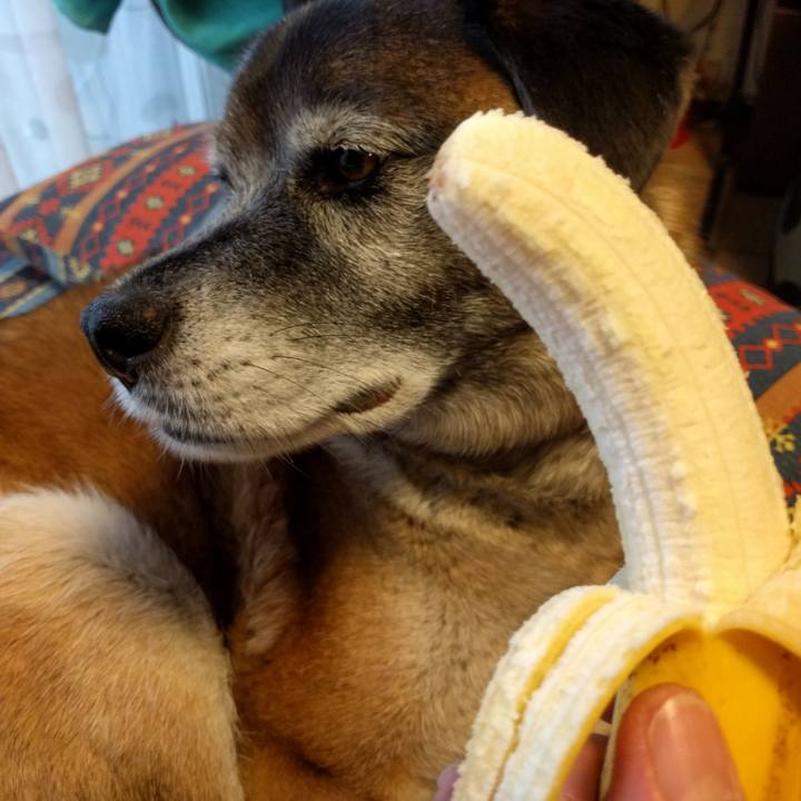 385793c4 3c4b 4642 b49b 73d20f98a79c 1722469051727