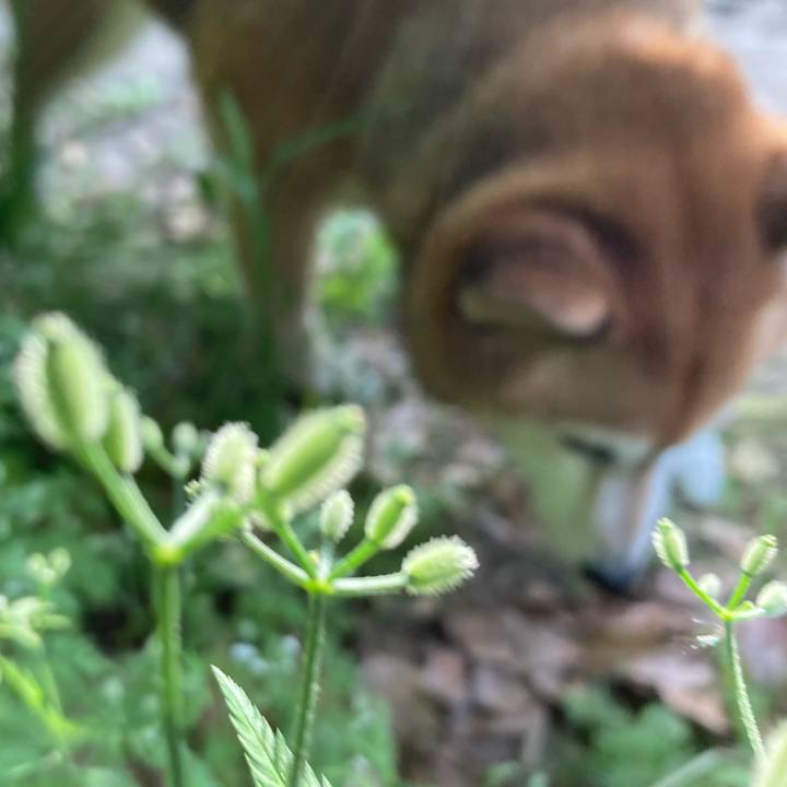 3857b74f bc86 418f bd47 c7da69960c91 1683103990130