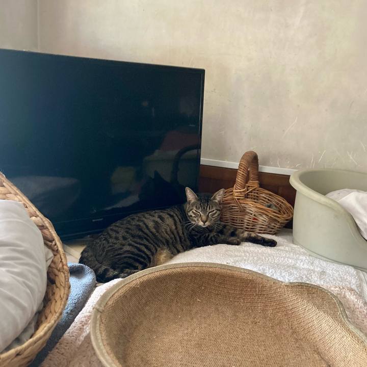 3857e5f9 3148 471a 8f9a c9060c223e4d 1692796148448