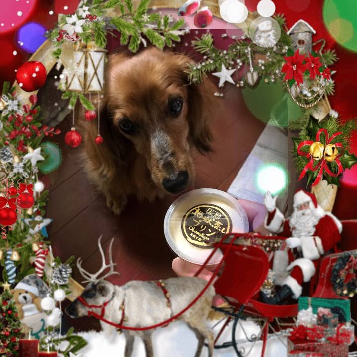 38580358 ec9c 478a 9e6f 48b1ba7bda75 1608312086535