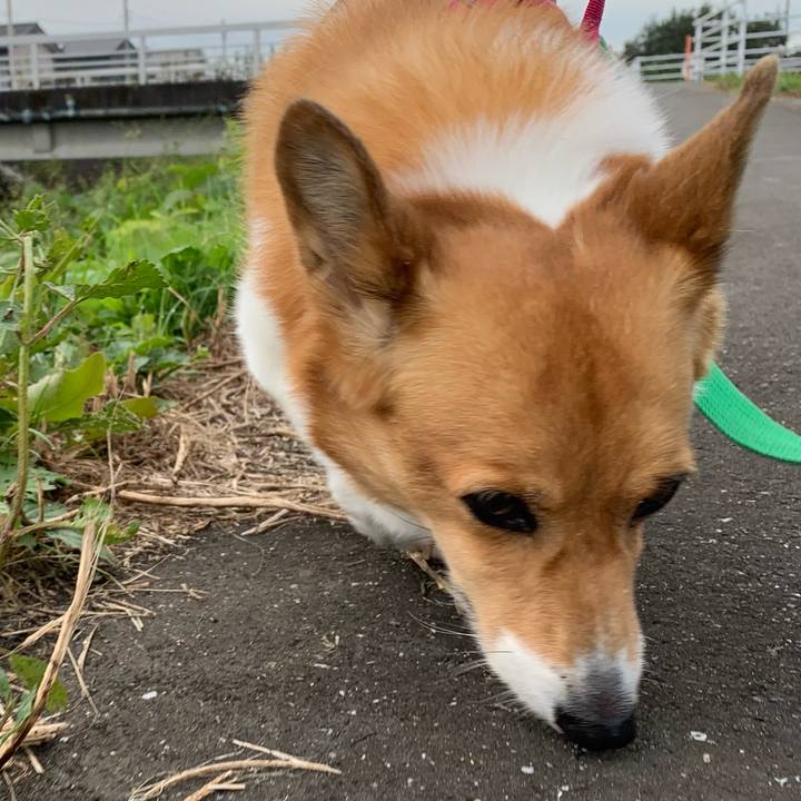 38583cfd 1037 41ab 83fc 84ae0b0a1085 1633743640204