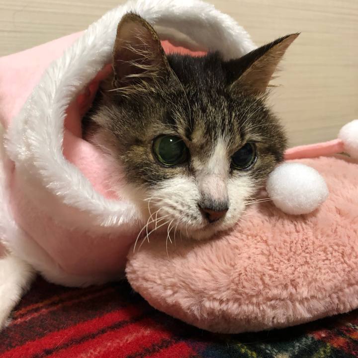 38584d3b bed5 4169 a8bd 1ed4f6c38635 1764540005899