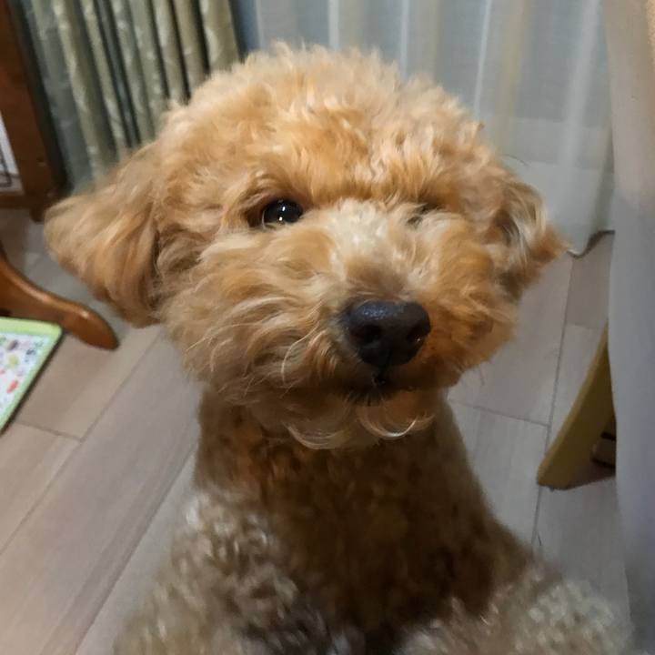 38585fd8 ea5a 4e61 bd6f 38c23c0e007d 1519204803854