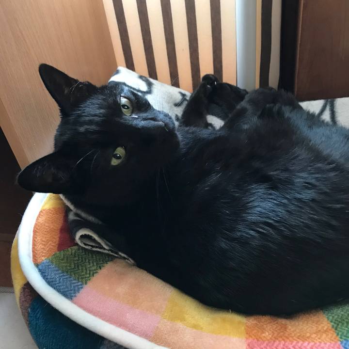 385860a6 e695 4b58 b4f9 ddda8f0b1c5e 1522458282872