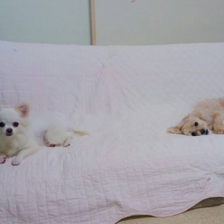 3858ca2a 1a4c 458f 88a9 1e6209c35e5f 1532861281717