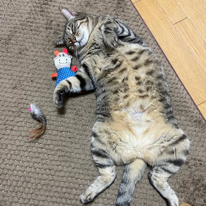 3858d928 3ea7 4d6f be28 815f24babfa8 1632915048308