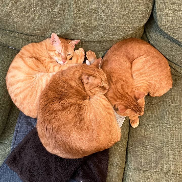 38593b5f 295e 429f 968a f8cd99039472 1764343878242