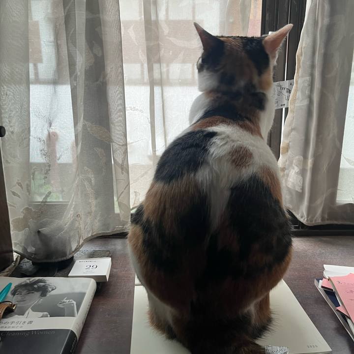 38594cf0 fe4e 44c5 bc94 1df0bda81ac6 1759096218522