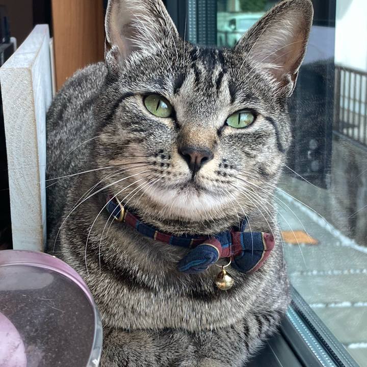 38595abb b8aa 4889 a6d5 d9590176846e 1669709928875