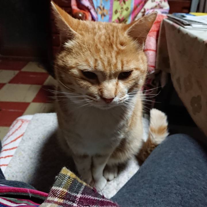 385964bc 7932 464d b8e8 68af2b21e481 1585511795897