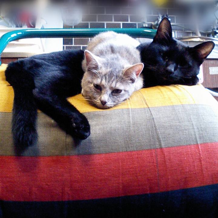 38597535 3e0a 4df6 9346 7ea382886a54 1509885801418