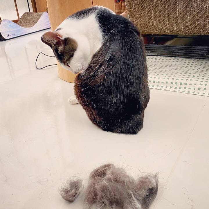 38598c42 1068 41d3 b1f9 b5ff42ad3d9b 1595656640276