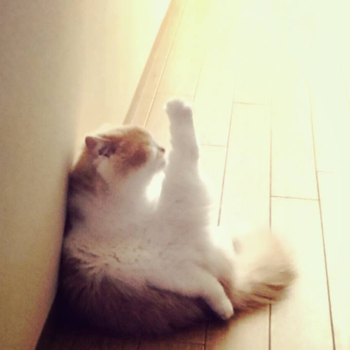 3859cae8 6175 4ce7 a51a 75407d3fd541 1548116615573