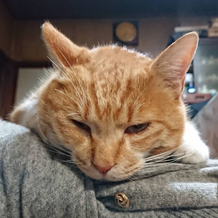 385a15d5 5b7c 48e5 8fd7 d77c66532547 1577050995624