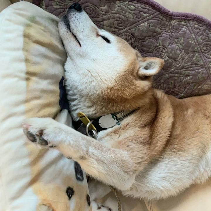 385a4c9c e5be 490d bf10 c4469fdc05cb 1640056969763