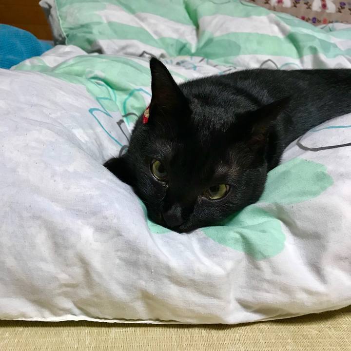 385a58dd 8a64 4168 91b6 4348827ff8e1 1508508499028