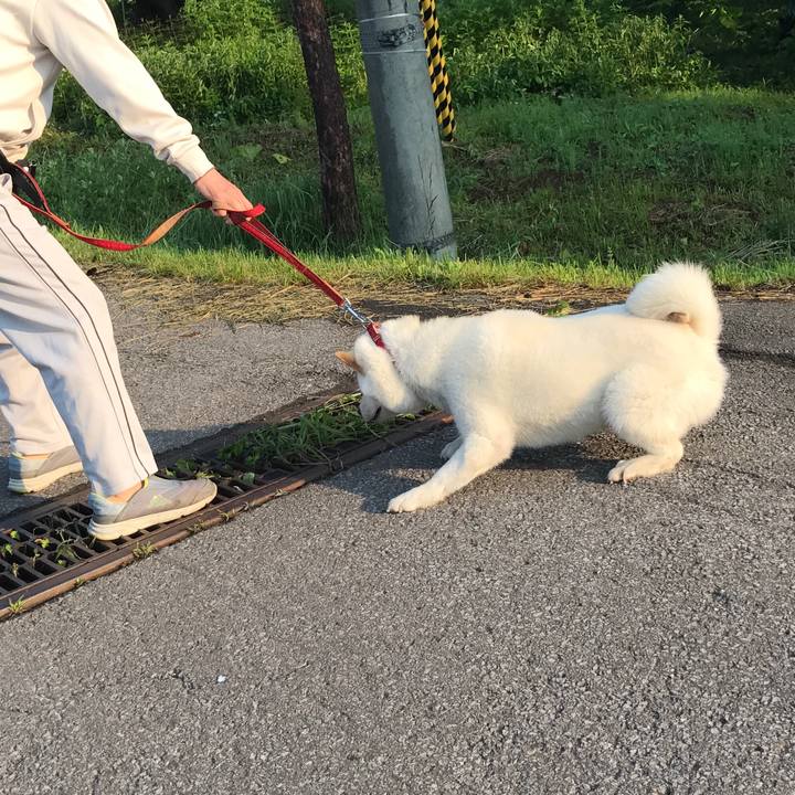 385aa83b 1f91 4c13 90fc 96456e454979 1533204888836