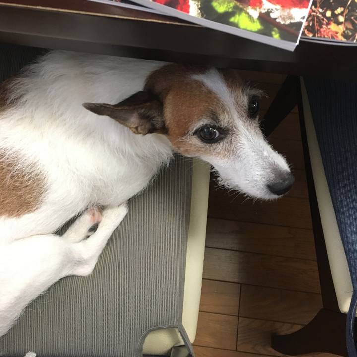 385b0cc3 0a9c 42b8 a7d7 39df05a55922 1599262851685